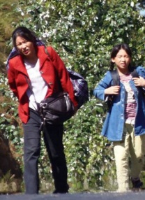 青青青在线视频播放免费